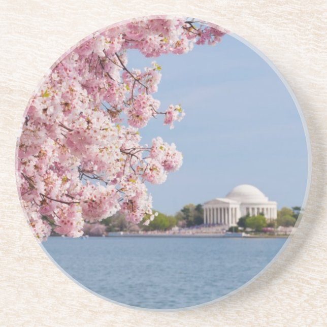 USA, Washington DC, Kirschbaum Getränkeuntersetzer (Vorne)