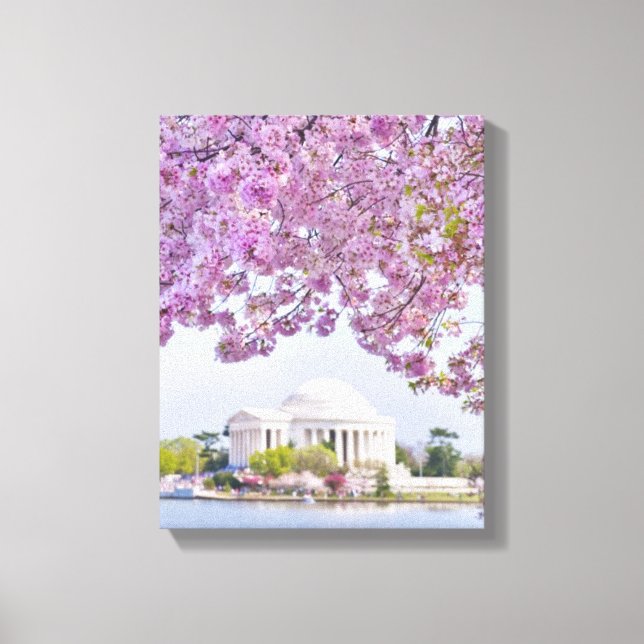 USA, Washington DC, Kirschbaum in Blüte Leinwanddruck (Vorderseite)