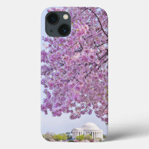 USA, Washington DC, Kirschbaum in der Blüte iPhone 13 Hülle