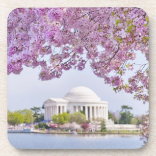 USA, Washington DC, Kirschbaum in der Blüte Getränkeuntersetzer