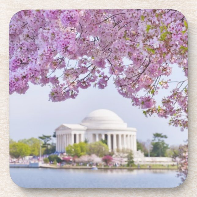 USA, Washington DC, Kirschbaum in der Blüte Getränkeuntersetzer (Vorderseite)