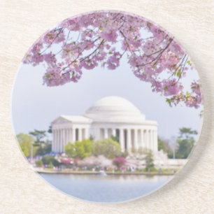 USA, Washington DC, Kirschbaum in der Blüte Getränkeuntersetzer