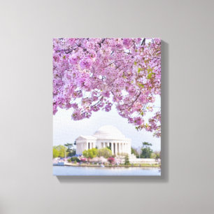 USA, Washington DC, Kirschbaum in der Blüte Leinwanddruck