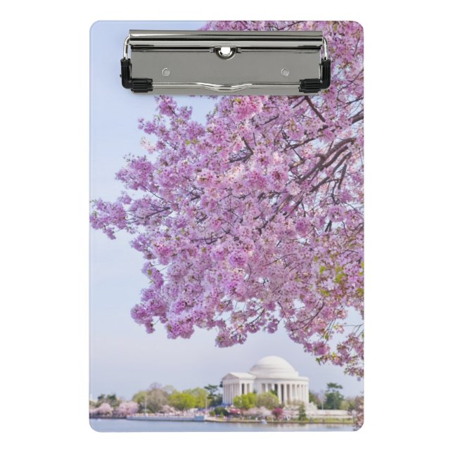 USA, Washington DC, Kirschbaum in der Blüte Mini Klemmbrett (Vorderseite)