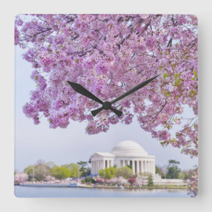 USA, Washington DC, Kirschbaum in der Blüte Quadratische Wanduhr