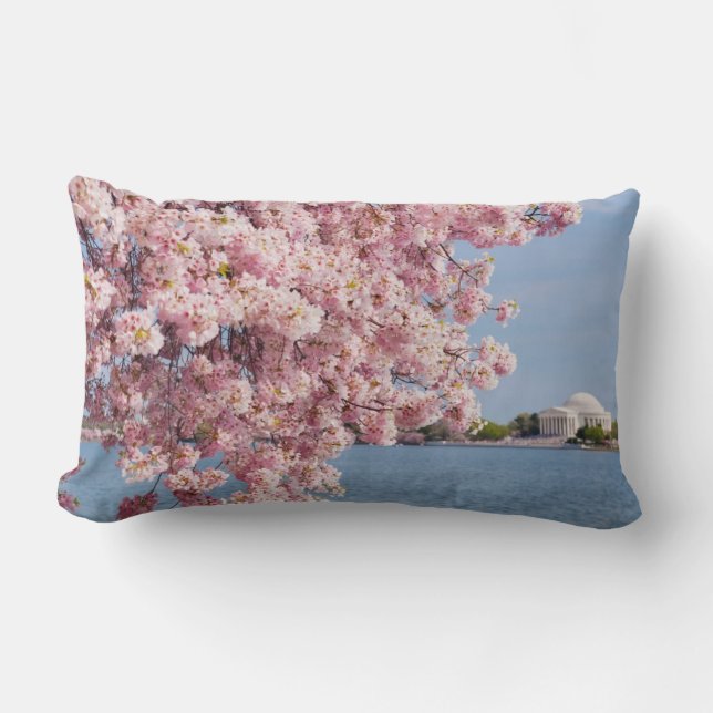 USA, Washington DC, Kirschbaum Lendenkissen (Vorderseite)