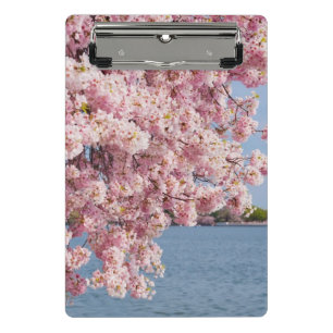 USA, Washington DC, Kirschbaum Mini Klemmbrett