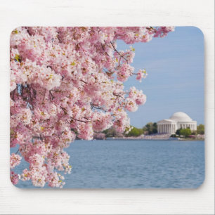 USA, Washington DC, Kirschbaum Mousepad