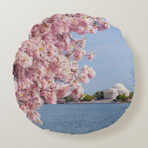 USA, Washington DC, Kirschbaum Rundes Kissen