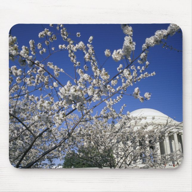 USA, Washington DC. Kirschblüte Festival und 2 Mousepad (Vorne)