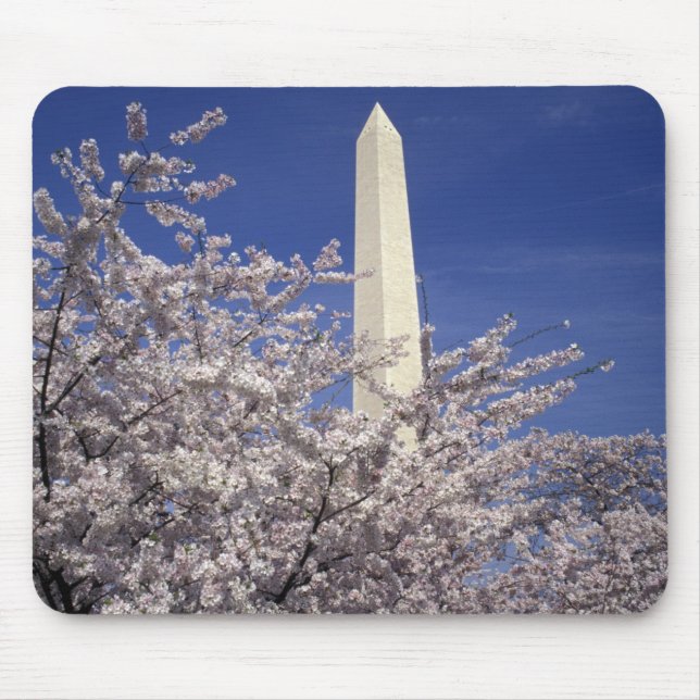 USA, Washington DC. Kirschblüten-Festival und Mousepad (Vorne)