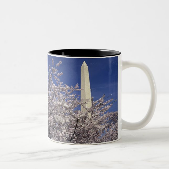 USA, Washington DC. Kirschblüten-Festival und Zweifarbige Tasse (Rechts)