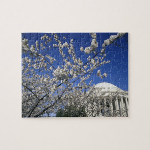 USA, Washington DC. Kirschblütenfest und 2 Puzzle