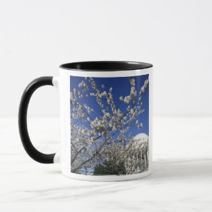 USA, Washington DC. Kirschblütenfest und 2 Tasse