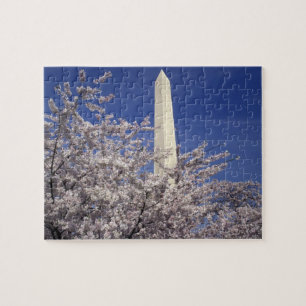 USA, Washington DC. Kirschblütenfest und Puzzle