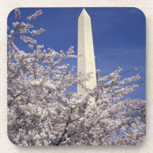 USA, Washington DC. Kirschblütenfest und Untersetzer