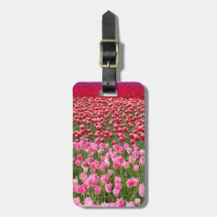 USA, Washington. Feld mit mehrfarbigen Tulpen Gepäckanhänger