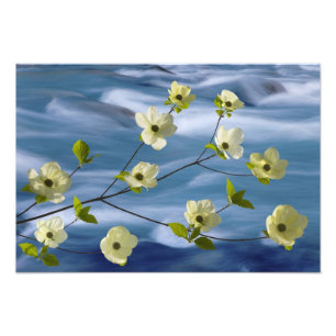 USA, Washington, Hood Canal. Pazifik Fotodruck