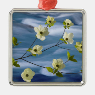 USA, Washington, Hood Canal. Pazifik Silbernes Ornament