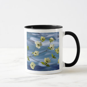 USA, Washington, Hood Canal. Pazifischer Hundskorn Tasse