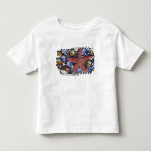 USA, Washington, Hood Canal, Seabeck. Nahaufnahme Kleinkind T-shirt