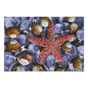 USA, Washington, Hood Canal, Seabeck. Von Nahem Fotodruck