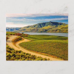 USA, Washington, Lake Chelan. Benson Vineyards Postkarte