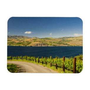 USA, Washington, Lake Chelan. Weinberg Magnet