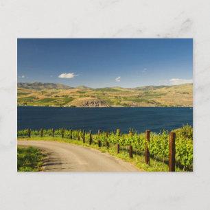 USA, Washington, Lake Chelan. Weinberg Postkarte