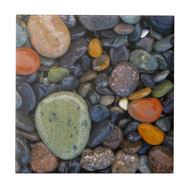 USA, Washington, Lopez Island, Agate Beach Fliese (Vorderseite)