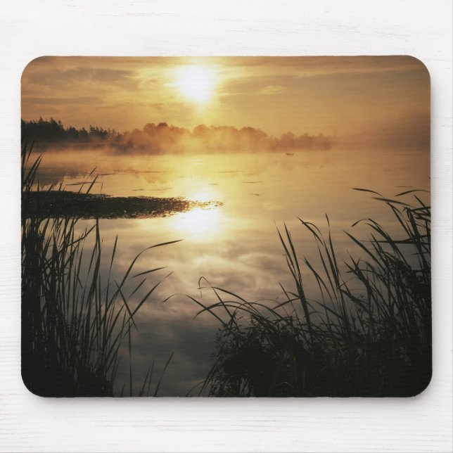 USA, Washington, Lopez Island, Morning neg Mousepad (Vorne)