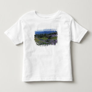 USA, Washington Mt. Adams Wilderness, Meadows Kleinkind T-shirt