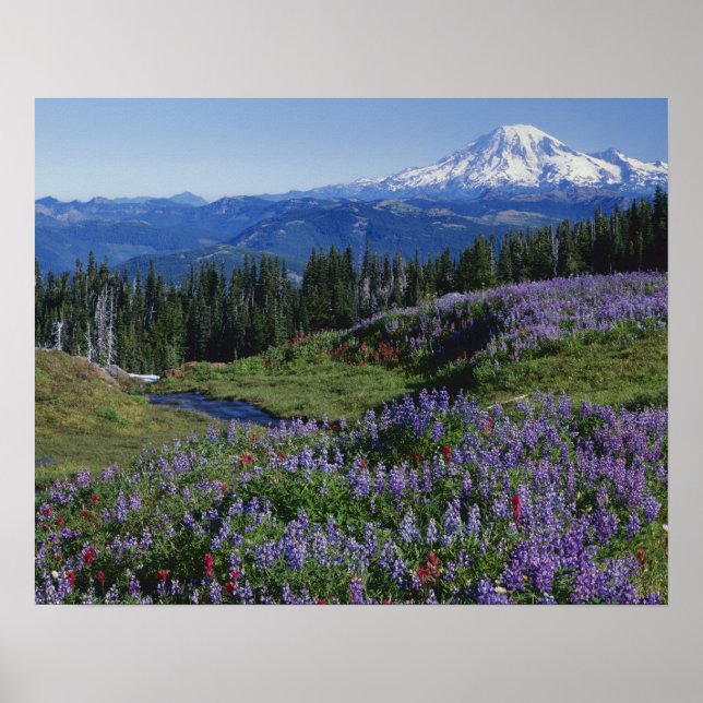 USA, Washington Mt. Adams Wilderness, Meadows Poster (Vorne)