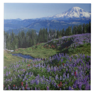 USA, Washington Mt. Adams Wilderness, Wiesen Fliese