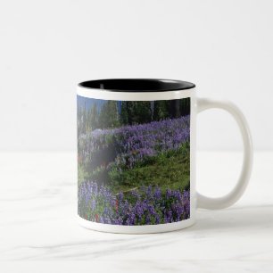 USA, Washington Mt. Adams Wilderness, Wiesen Zweifarbige Tasse