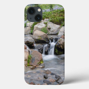 USA, Washington, Mt. Rainier National Park 3 Case-Mate iPhone Hülle