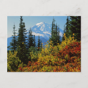 USA, Washington, Mt. Rainier Nationalpark 2 Postkarte