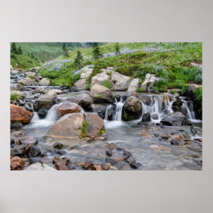 USA, Washington, Mt. Rainier Nationalpark 3 Poster