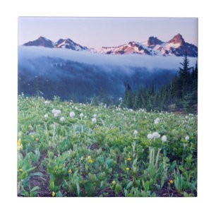 USA, Washington, Mt. Rainier Nationalpark 4 Fliese
