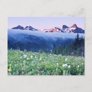 USA, Washington, Mt. Rainier Nationalpark 4 Postkarte