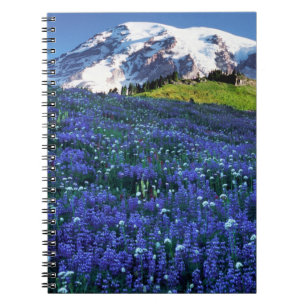 USA, Washington, Mt. Rainier Nationalpark. Berg. Notizblock