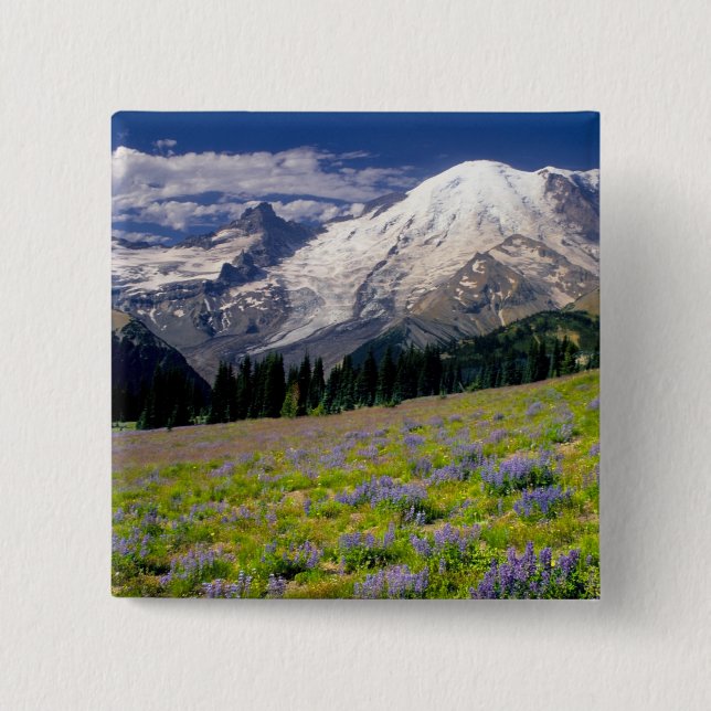 USA, Washington, Mt. Rainier Nationalpark. Button (Vorderseite)