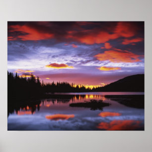 USA, Washington, Mt. Rainier Nationalpark, Poster