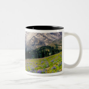 USA, Washington, Mt. Rainier Nationalpark. Zweifarbige Tasse