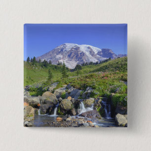 USA, Washington, Mt. Rainier NP, Mt. Rainier und 2 Button