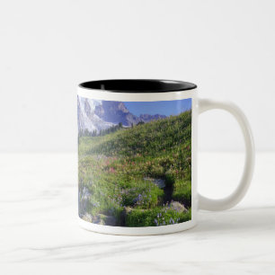 USA, Washington, Mt. Rainier NP, Mt. Rainier und 2 Zweifarbige Tasse