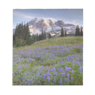 USA, Washington, Mt. Rainier NP, Mt. Rainier und Notizblock