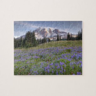 USA, Washington, Mt. Rainier NP, Mt. Rainier und Puzzle