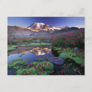 USA, Washington, Mt. Rainier NP, Sonnenaufgang, Postkarte