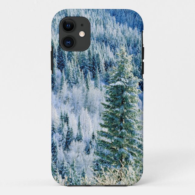 USA, Washington, Mt. Spokane Staat Park, Aspen 2 Case-Mate iPhone Hülle (Rückseite)